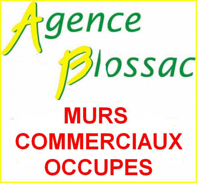 Vente Immobilier Professionnel Murs commerciaux Châtellerault (86100)